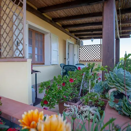 Apartman La Conchiglia