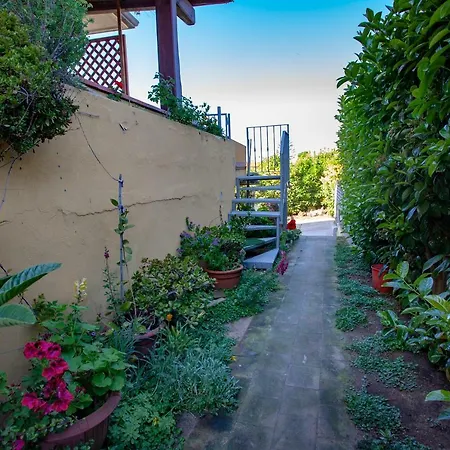 Apartman La Conchiglia *